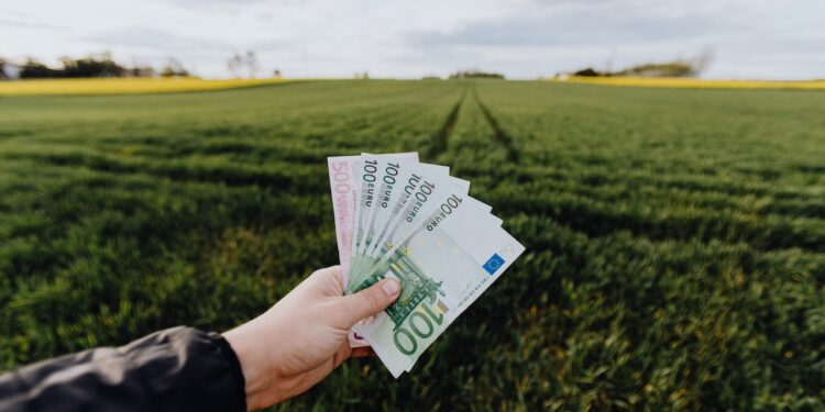 Kapitał zakładowy – co warto o nim wiedzieć? - Biznes pieniadze w firmie