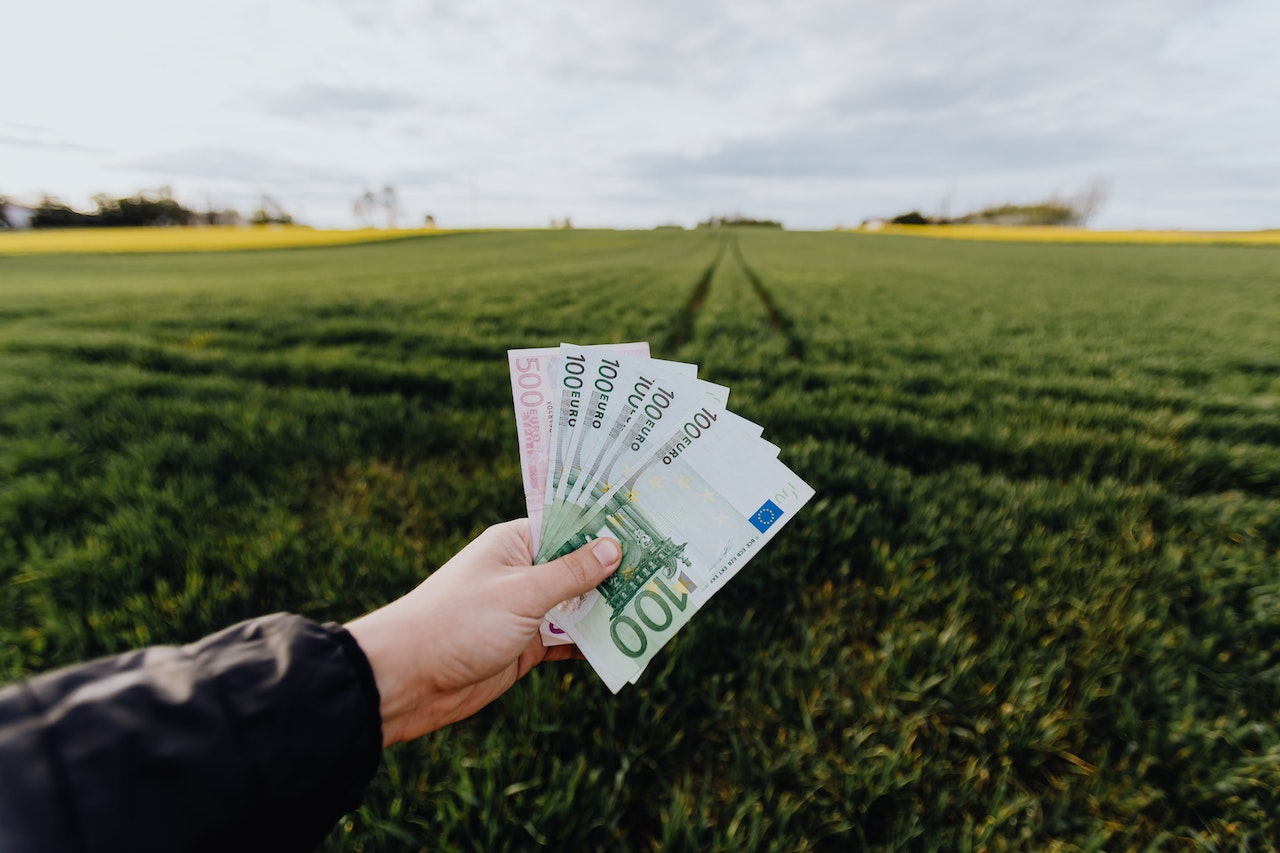 Kapitał zakładowy – co warto o nim wiedzieć?